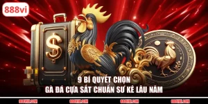 bí quyết chọn gà đá cựa sắt