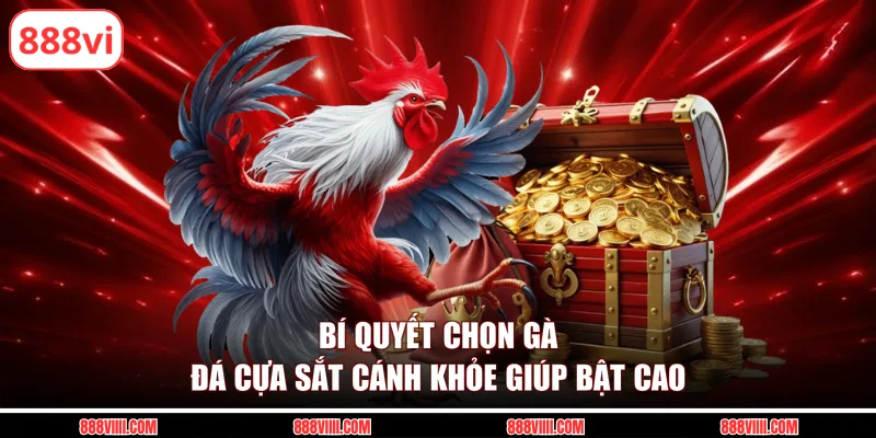 Bí quyết chọn gà đá cựa sắt cánh khỏe giúp bật cao