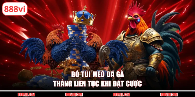 Bỏ túi mẹo đá gà thắng liên tục khi đặt cược