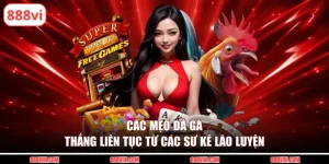 mẹo đá gà thắng liên tục