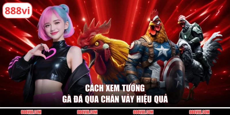 Cách xem tướng gà đá qua chân vảy hiệu quả