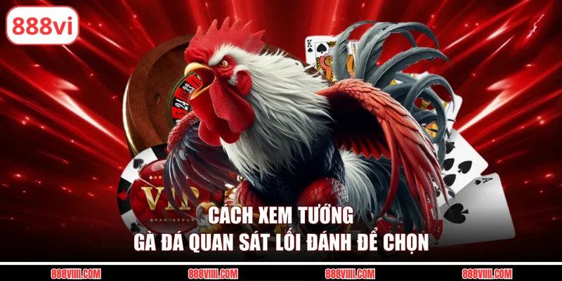 Cách xem tướng gà đá quan sát lối đánh để chọn