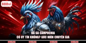 đá gà campuchia có uy tín không