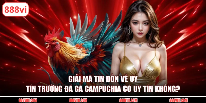Giải mã tin đồn về uy tín trường đá gà campuchia có uy tín không?