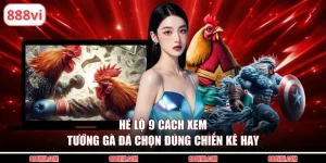 cách xem tướng gà đá