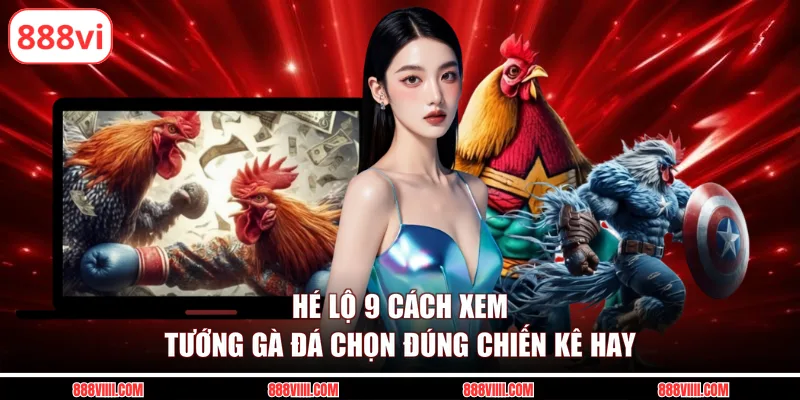 cách xem tướng gà đá