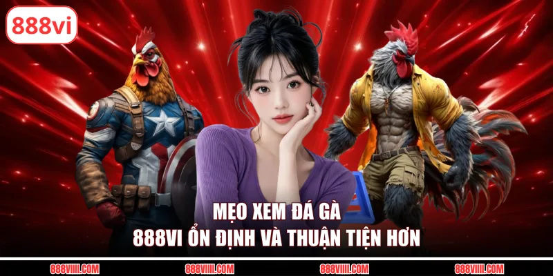 Mẹo xem đá gà 888Vi ổn định và thuận tiện hơn