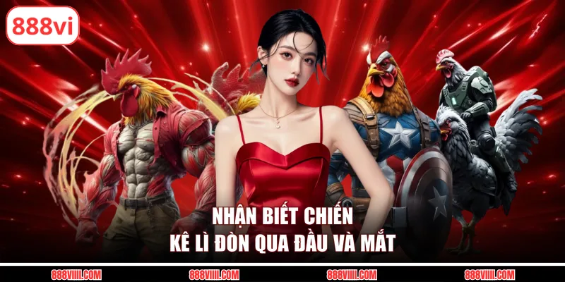 Nhận biết chiến kê lì đòn qua đầu và mắt