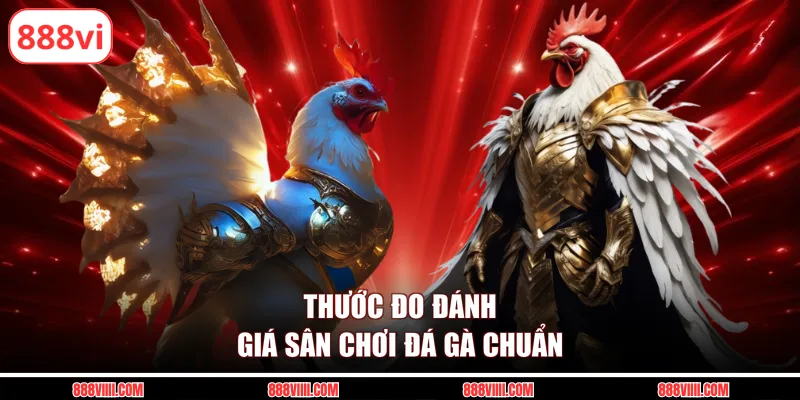 Thước đo đánh giá sân chơi đá gà chuẩn